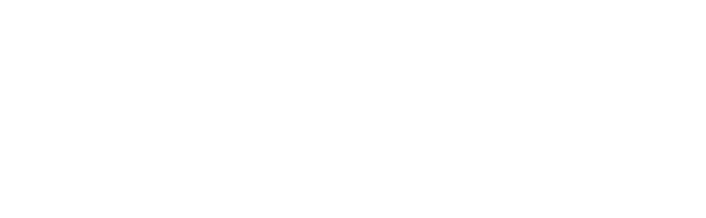 Logo Designerdi